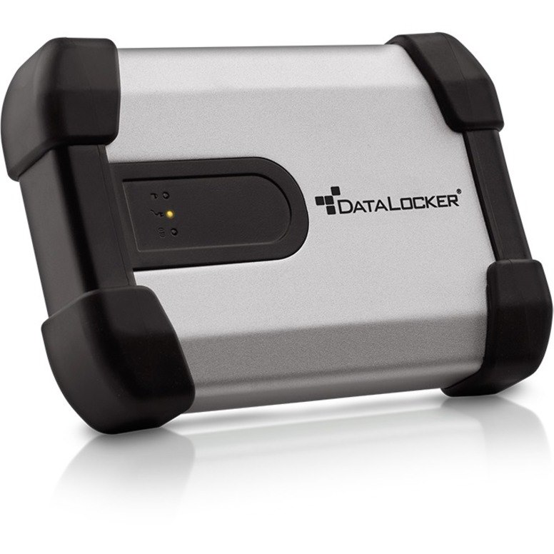 DataLocker H350 Enterprise 500 GB Solid State Drive - External - Portable - TAA Compliant