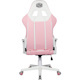 Cooler Master Caliber R1S Gaming Chair