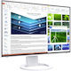 EIZO FlexScan EV2485-WT 24" Class WUXGA LCD Monitor - 16:10 - White
