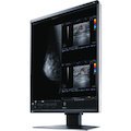 EIZO RadiForce RX560 21" Class QXGA LCD Monitor - 4:3 - Black