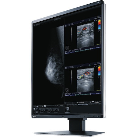 EIZO RadiForce RX560 21" Class QXGA LCD Monitor - 4:3 - Black