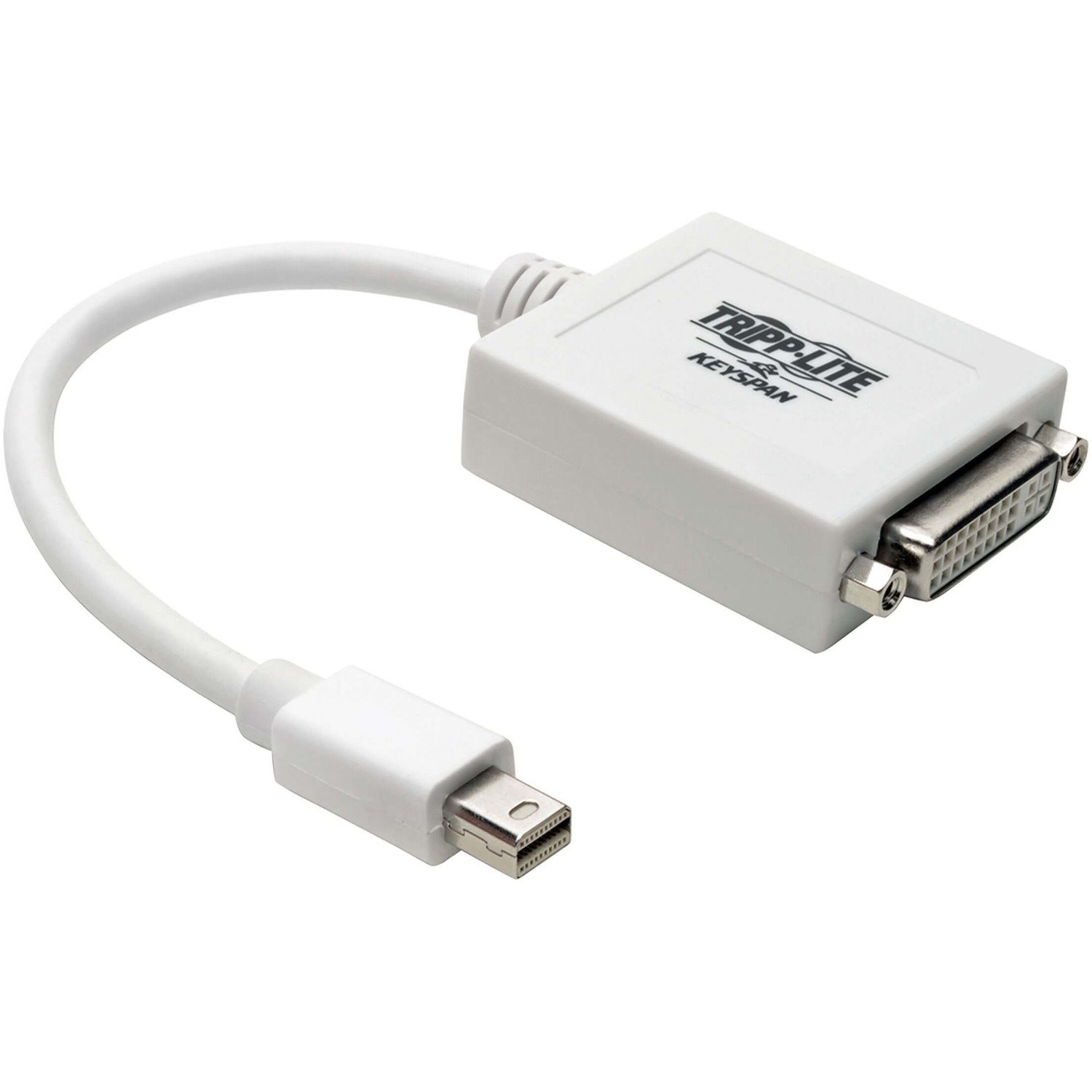 Eaton Tripp Lite Series Keyspan Mini DisplayPort to DVI Adapter, Video Converter for Mac/PC, White (M/F), 6-in. (15.24 cm), TAA