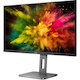 AOC U28P2U/BS 28" Class 4K UHD LCD Monitor - 16:9 - Black, Grey