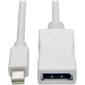 Eaton Tripp Lite Series Keyspan Mini DisplayPort to DisplayPort Adapter Cable (M/F), 4K 60 Hz, DP 1.2, HDCP 2.2, 10 ft. (3.1 m)