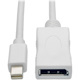Eaton Tripp Lite Series Keyspan Mini DisplayPort to DisplayPort Adapter Cable (M/F), 4K 60 Hz, DP 1.2, HDCP 2.2, 10 ft. (3.1 m)