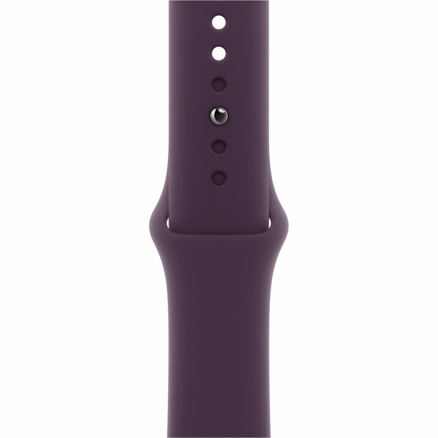 Apple Adjustable Smartwatch Band
