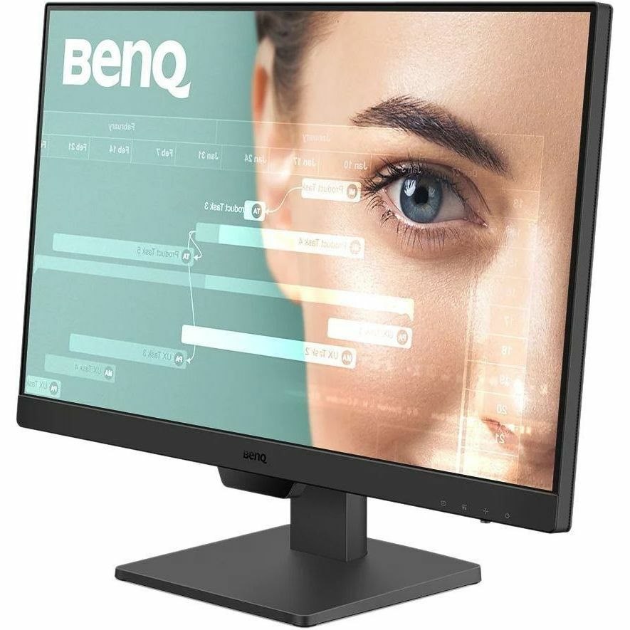 BenQ GW2490 24" Class Full HD LED Monitor - 16:9 - Black