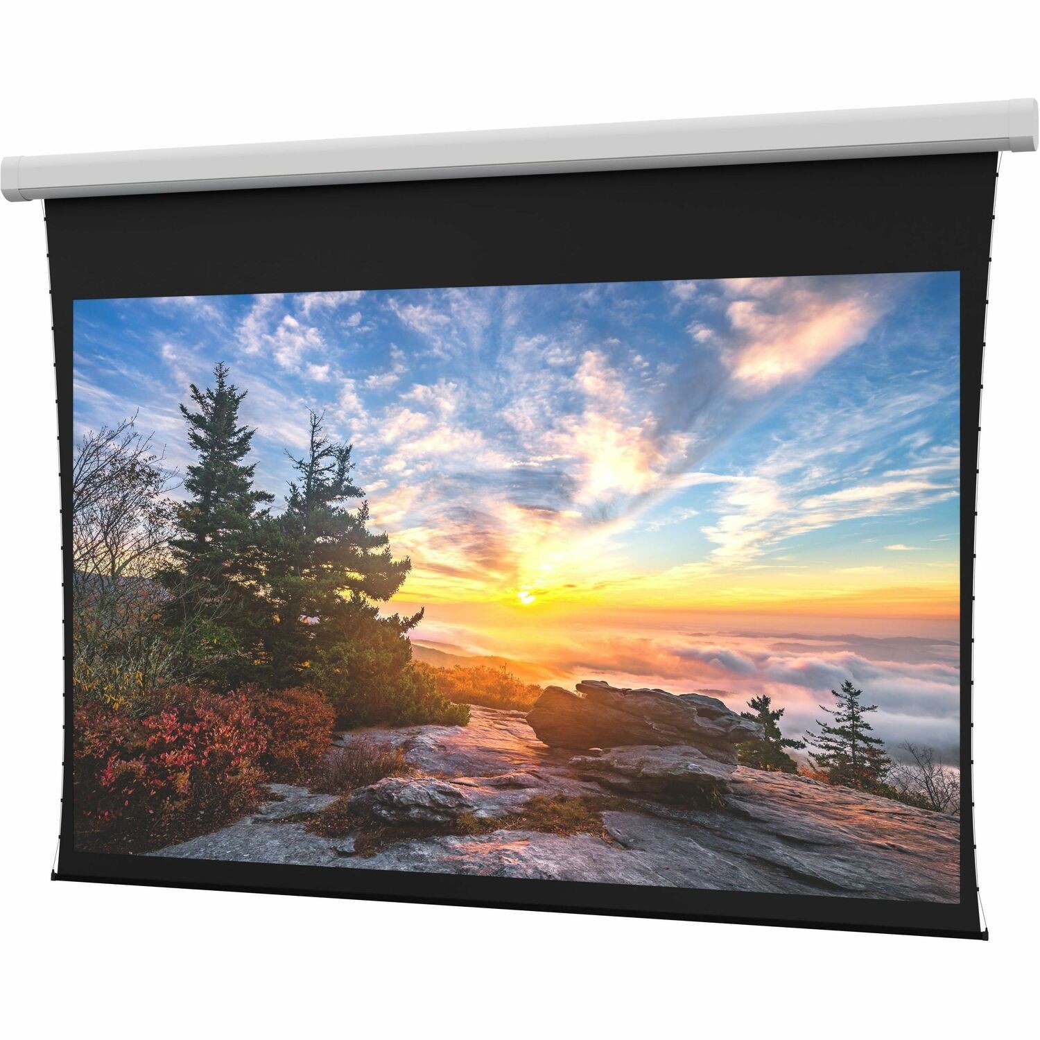 Da-Lite Myriad Reveal with SightLine Projection Screen - Wall/Ceiling Mounted - HD Progressive 1.0 - 193in - 120V