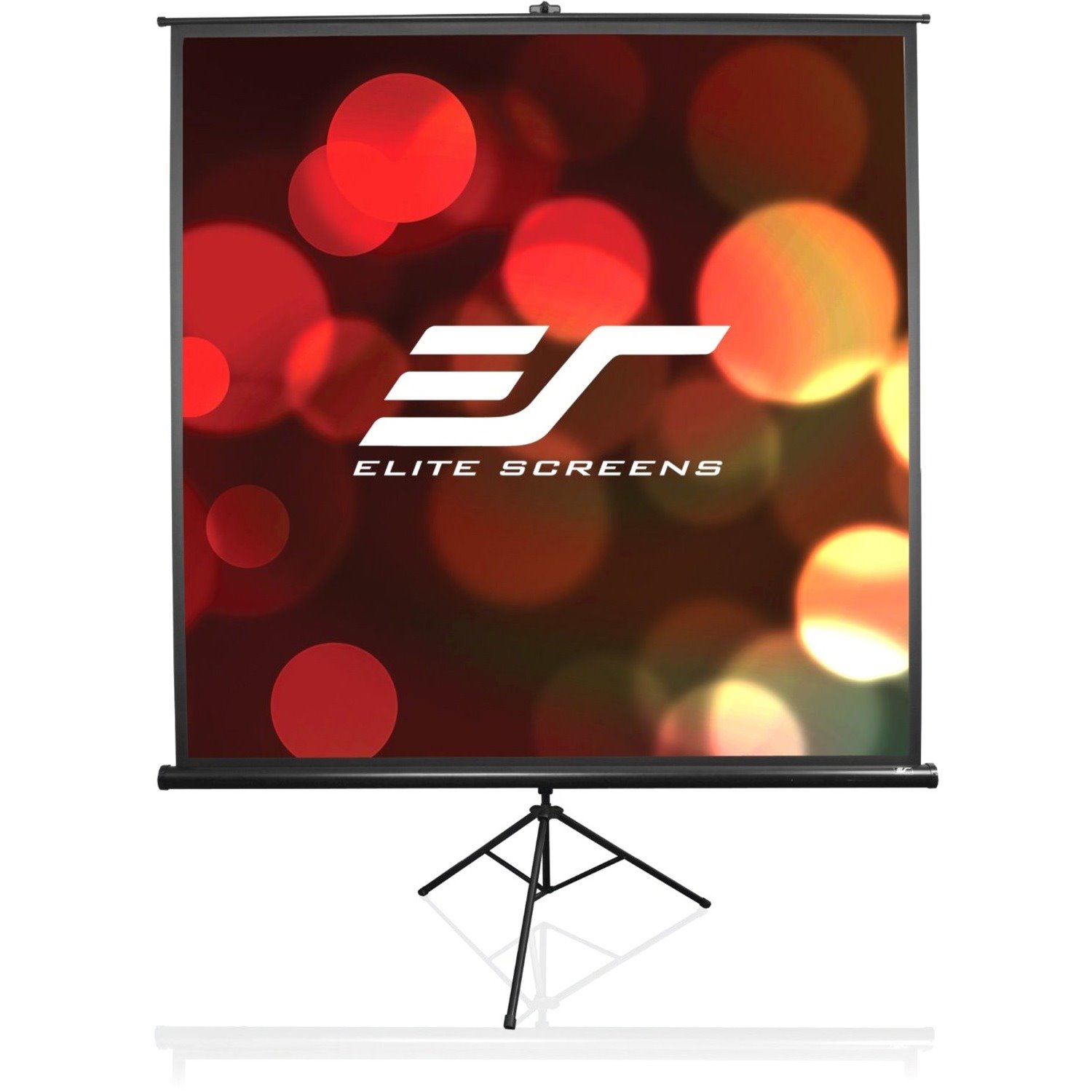 Elite Screens Vmax VMAX113XWS Electric Projection Screen