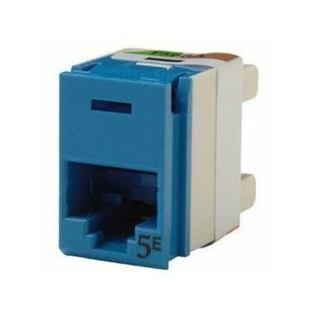 Ortronics Clarity 5e Panel Jack, Rear Load, T568a/b, 180 Deg, Blue