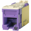 Ortronics Clarity High Density Jack (HDJ) CAT6A, T568A/B, Purple