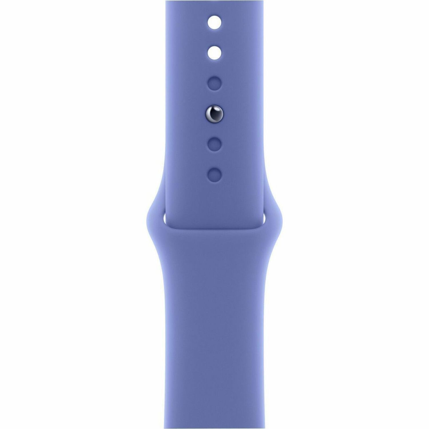 Apple Adjustable Smartwatch Band