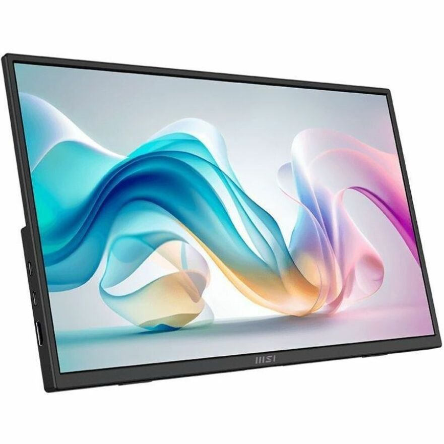 MSI Pro MP165 E6 16" Class Full HD LED Monitor - 16:9 - Black