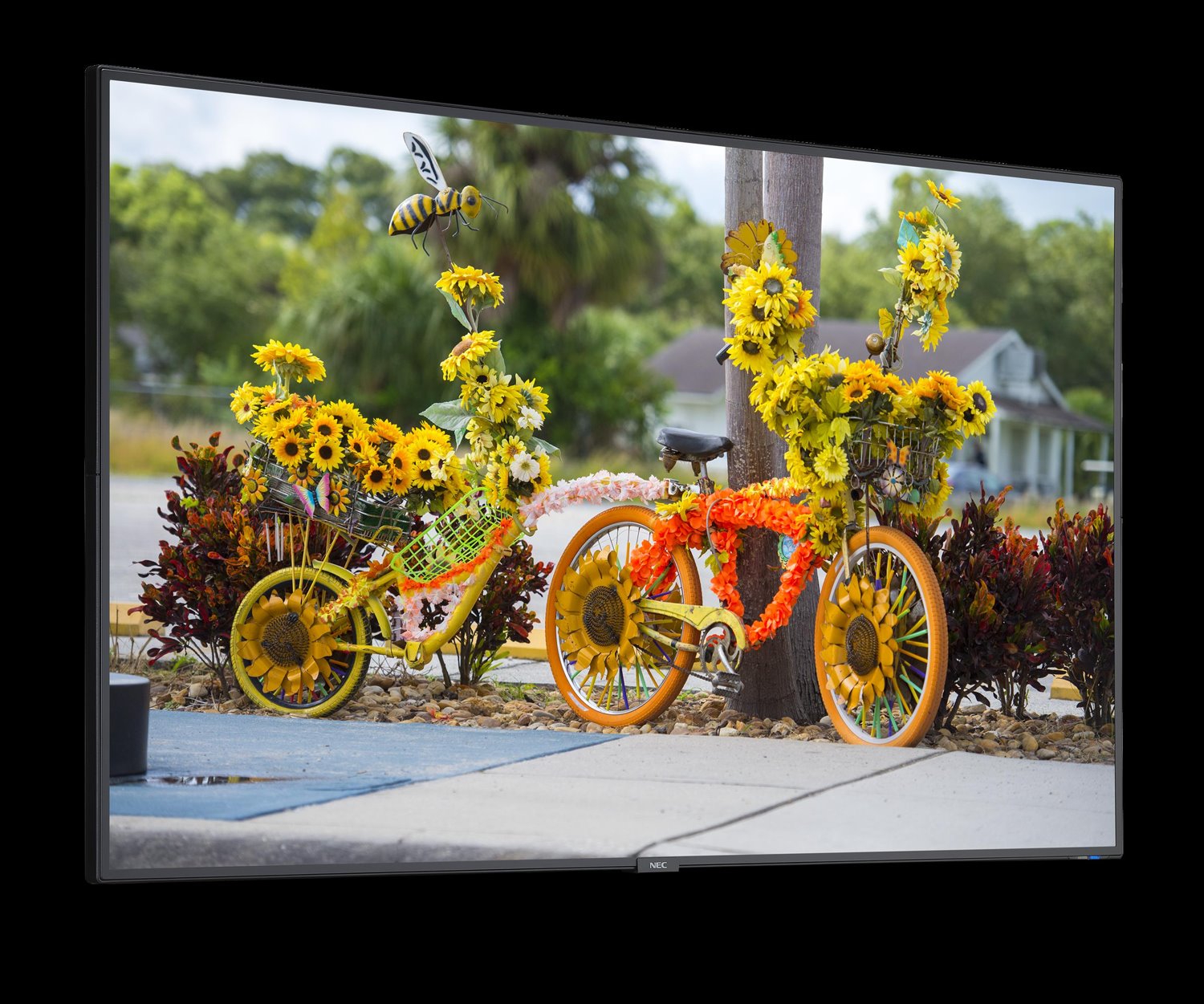 NEC Display 55" Thin-Depth Commercial Display