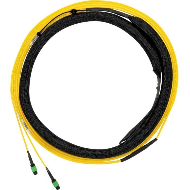 Panduit HD Flex&trade; Fiber Optic Trunk Cable Assembly