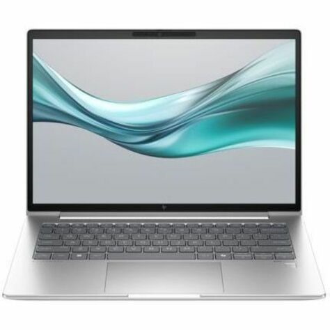 HP EliteBook 645 G11 14" Notebook - WUXGA - AMD Ryzen 5 7535U - 32 GB - 256 GB SSD - Pike Silver Aluminum