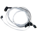 Microchip Adaptec 80 cm Mini-SAS HD/SATA Data Transfer Cable