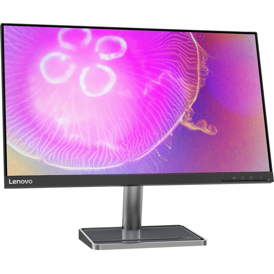 Lenovo L24q-35 24" Class WQHD LCD Monitor - 16:9