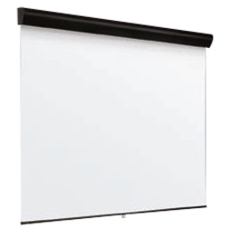 Draper Silhouette 202235 109" Manual Projection Screen