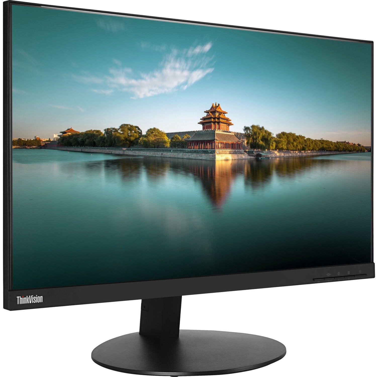 Lenovo ThinkVision T24i-10 24" Class Full HD LCD Monitor - 16:9