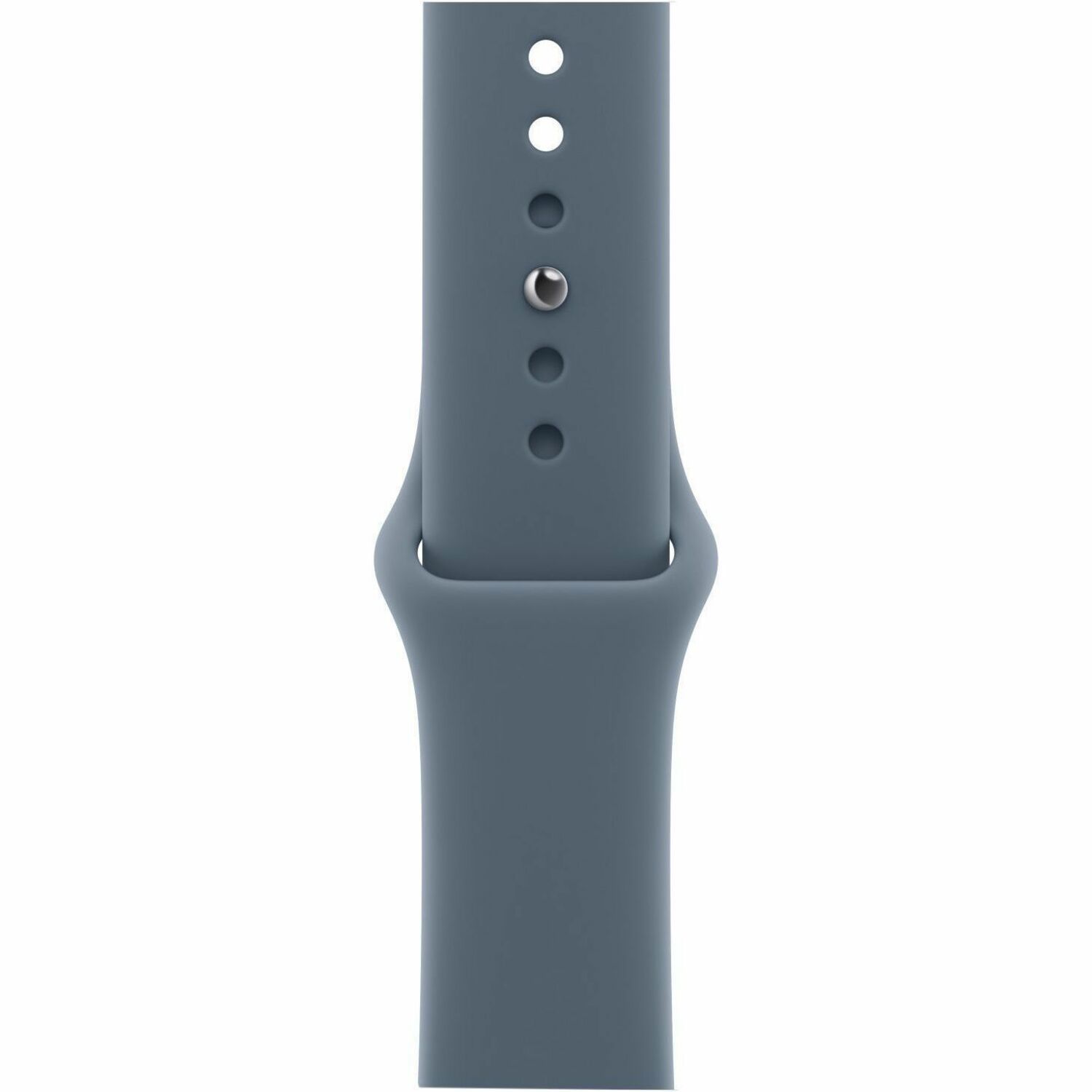 Apple Adjustable Smartwatch Band