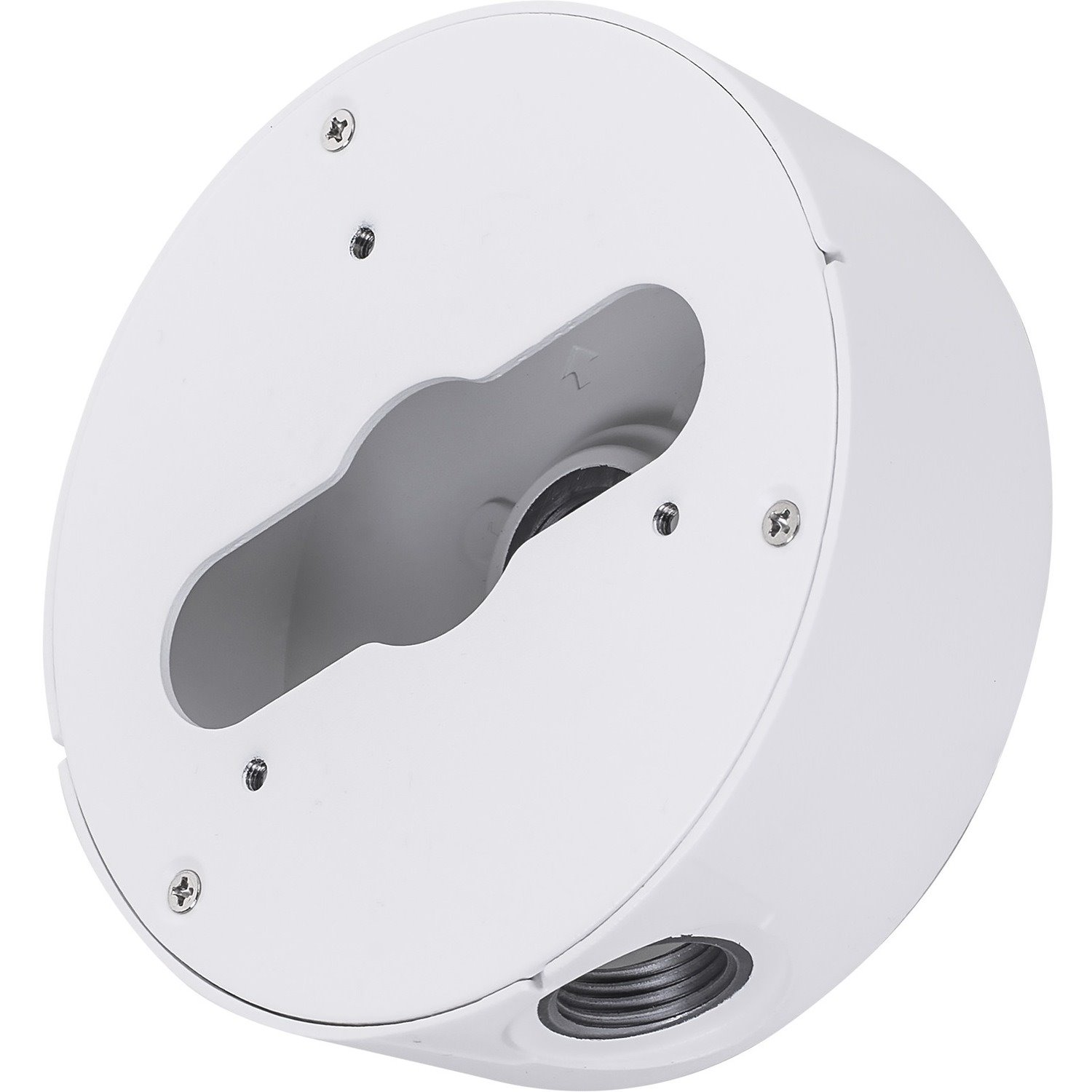 Vivotek AM-71E Wall Mount for Network Camera - White - TAA Compliant