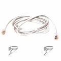 Belkin Cat6 Cable