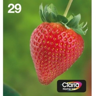 Epson Claria 29 Original Inkjet Ink Cartridge - Multi-pack - CMYK - 4 / Box