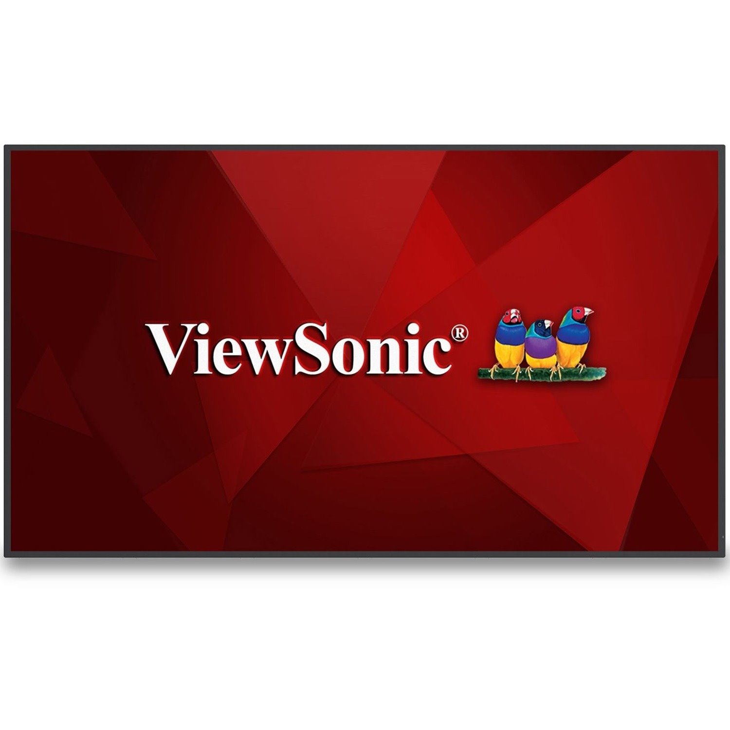 ViewSonic CDE6530 65" 4K UHD Wireless Presentation Display 24/7 Commercial Display with Portrait Landscape, HDMI, USB, USB C, Wifi/BT Slot, RJ45 and RS232