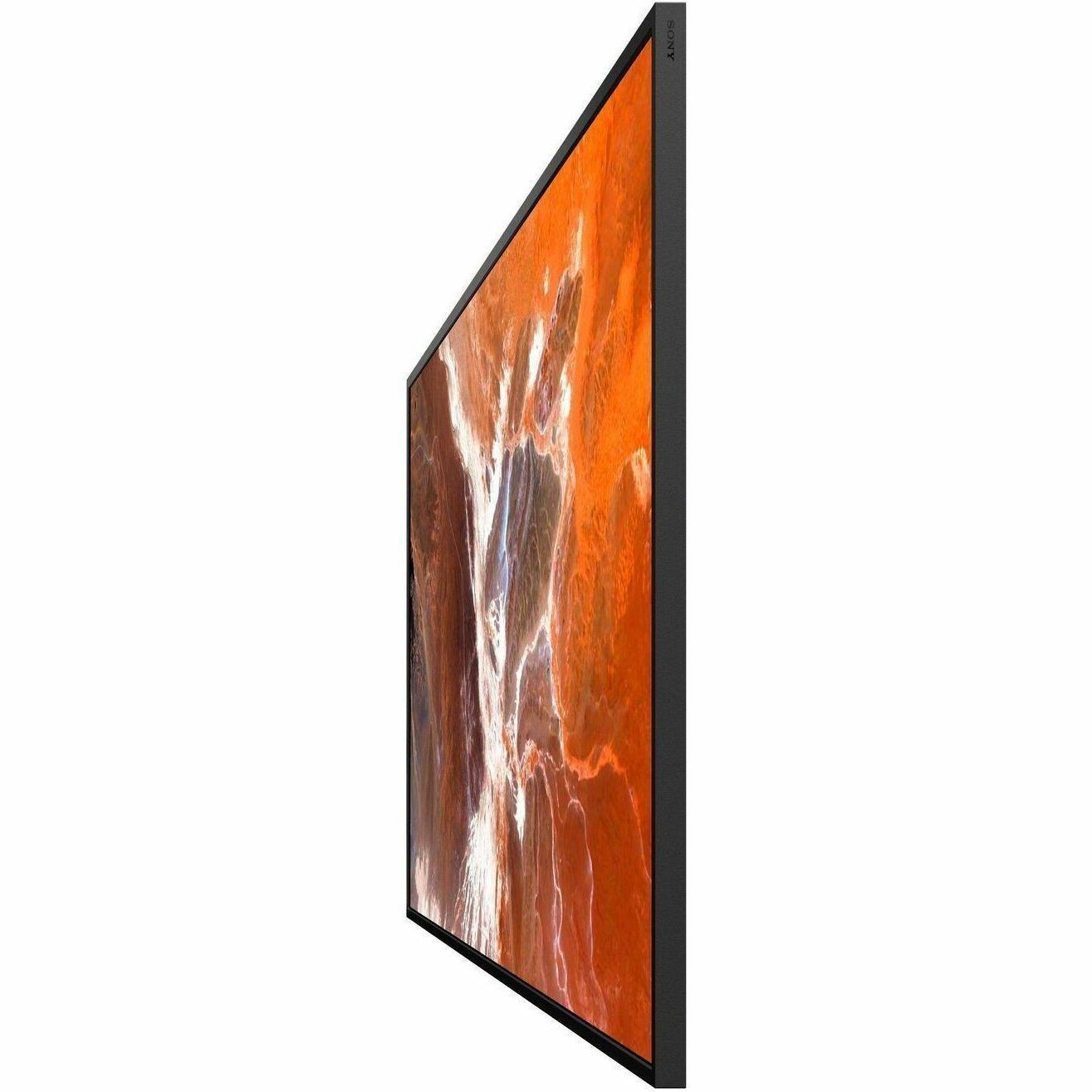 Sony Pro BRAVIA FW-65BZ30P Digital Signage Display