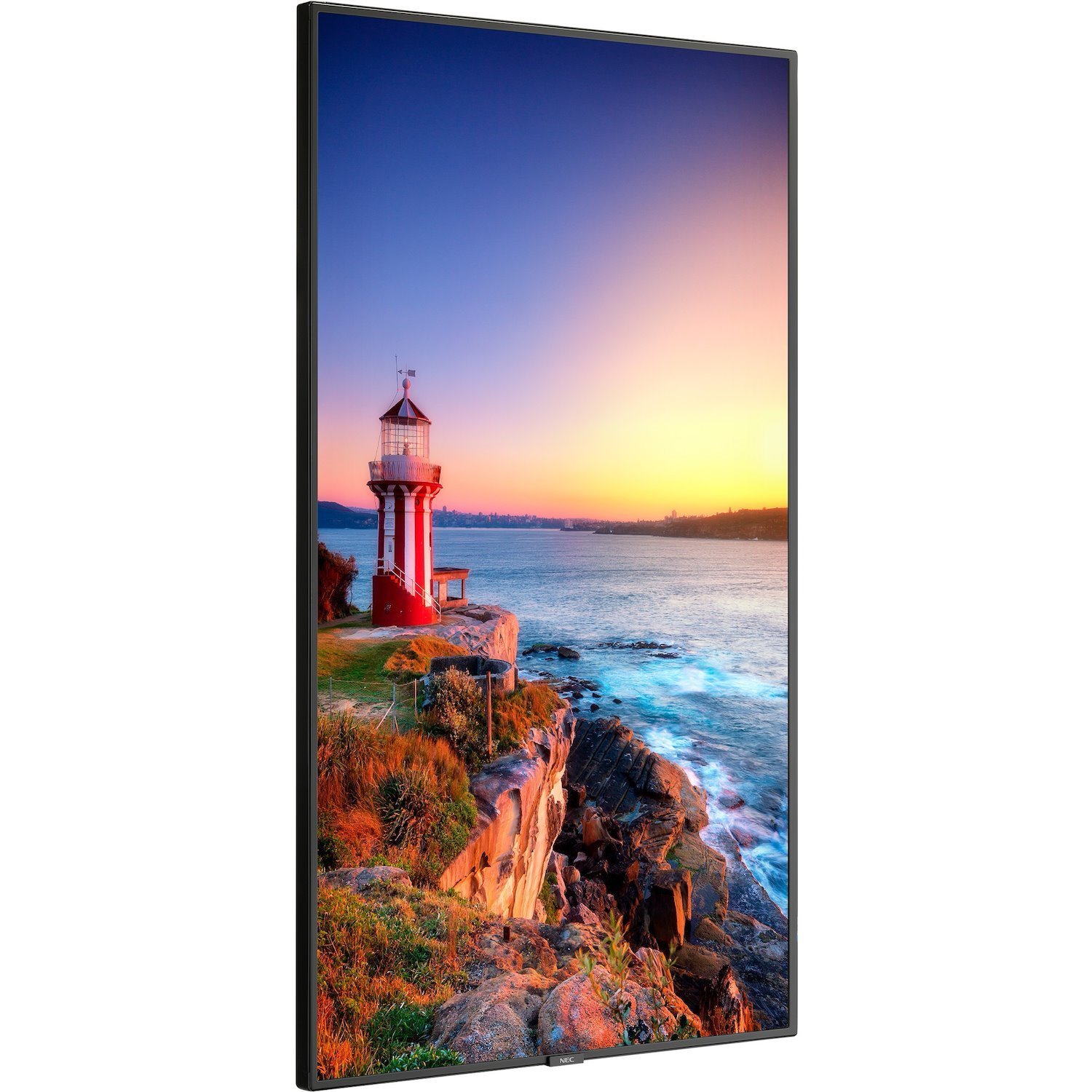 Sharp NEC Display 55" Wide Color Gamut Ultra High Definition Professional Display