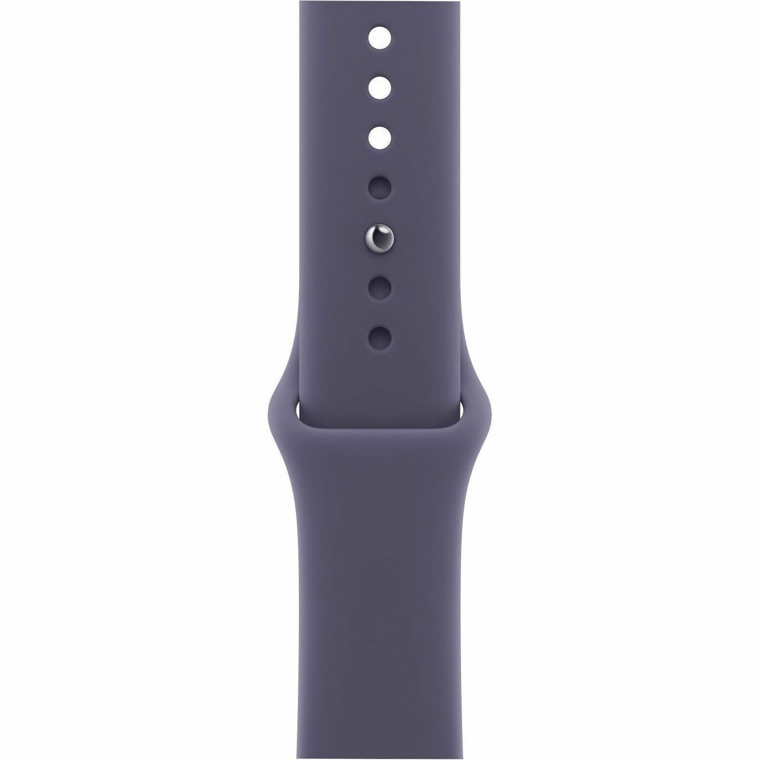 Apple Adjustable Smartwatch Band