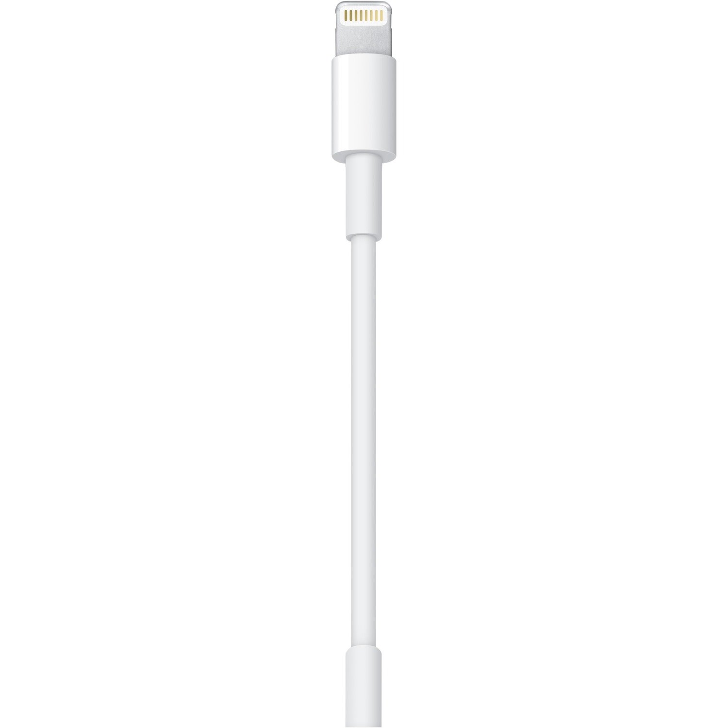 Apple Lightning/USB Data Transfer Cable for iPad, Digital Camera, iPad mini