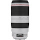 Canon - 100 mm to 400 mmf/5.6 - Telephoto Zoom Lens for Canon EF