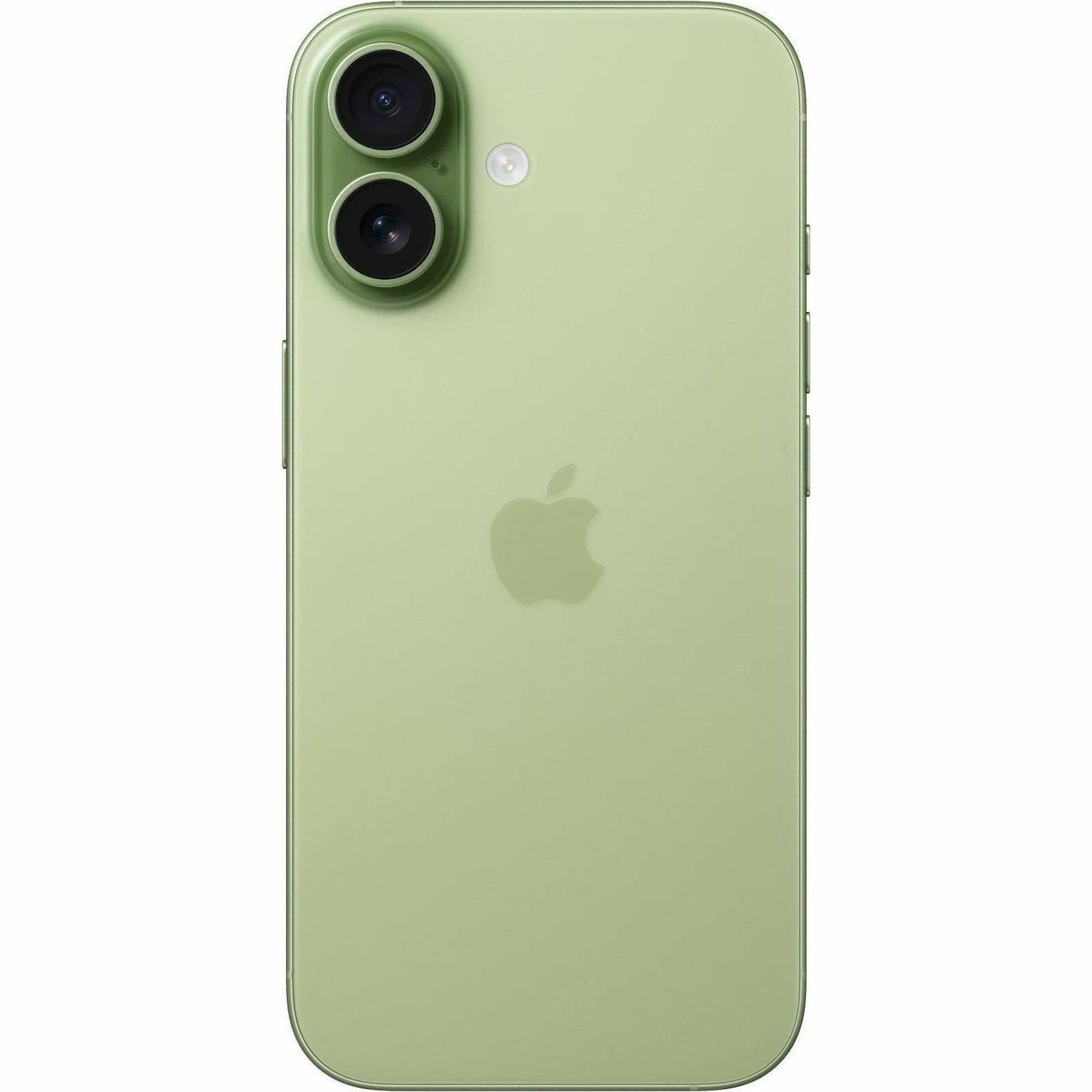 Apple iPhone 17 256 GB Smartphone - 6.3" ProMotion Technology HDR10+ 2622 x 1206 - Hexa-core (A19Dual-core (2 Core) 4.26 GHz + A19 Quad-core (4 Core) - 8 GB RAM - iOS 26 - 5G - Sage