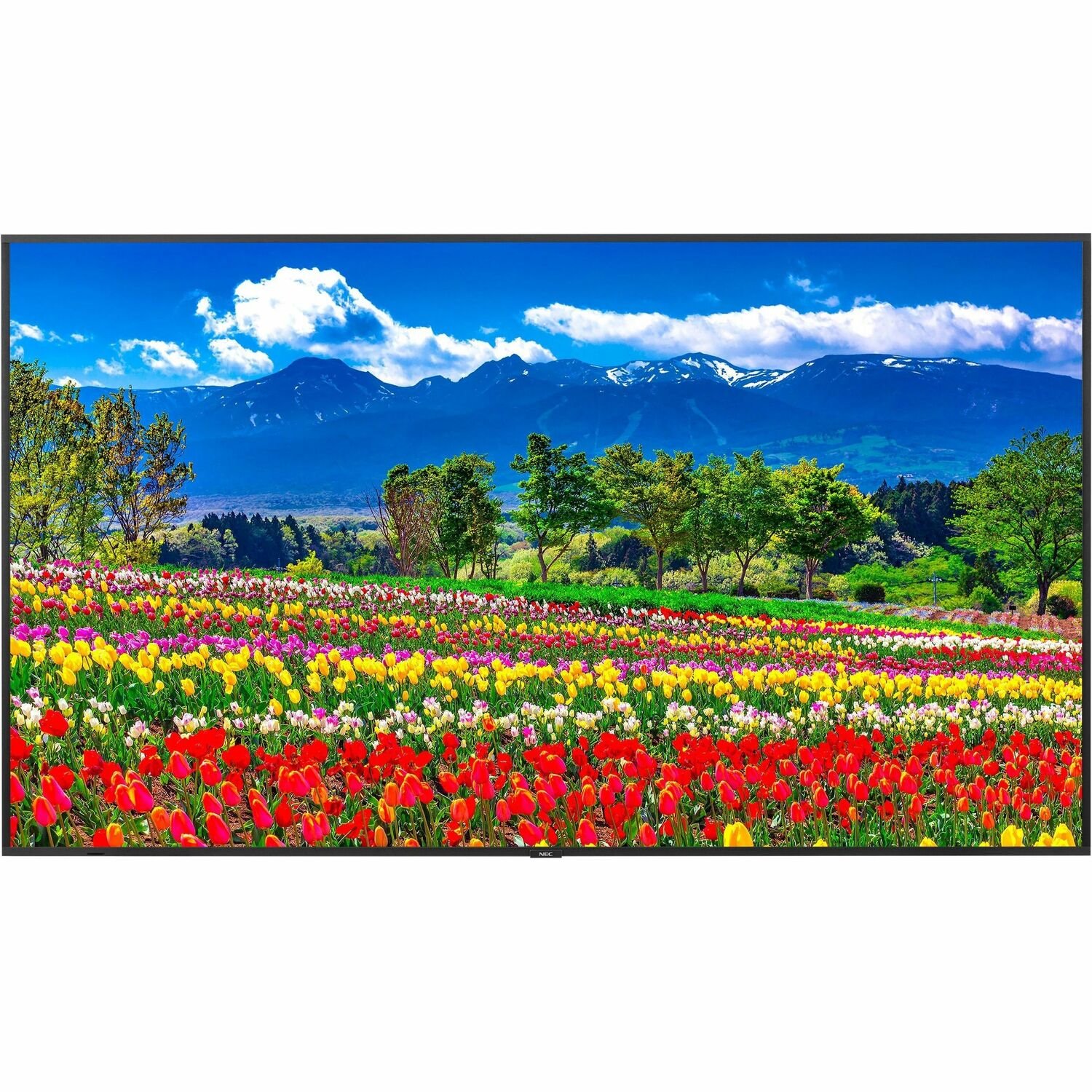 Sharp NEC Display 75" Ultra High Definition Professional Display