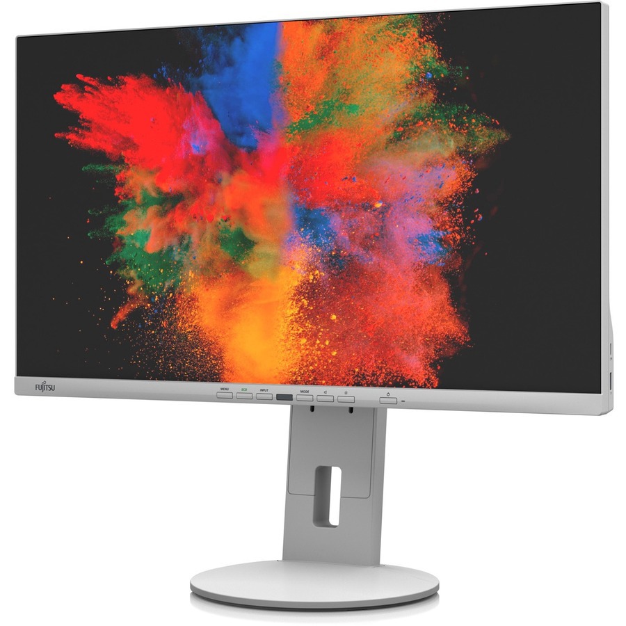 Fujitsu B2410 TE 24" Class Full HD LCD Monitor - 16:9