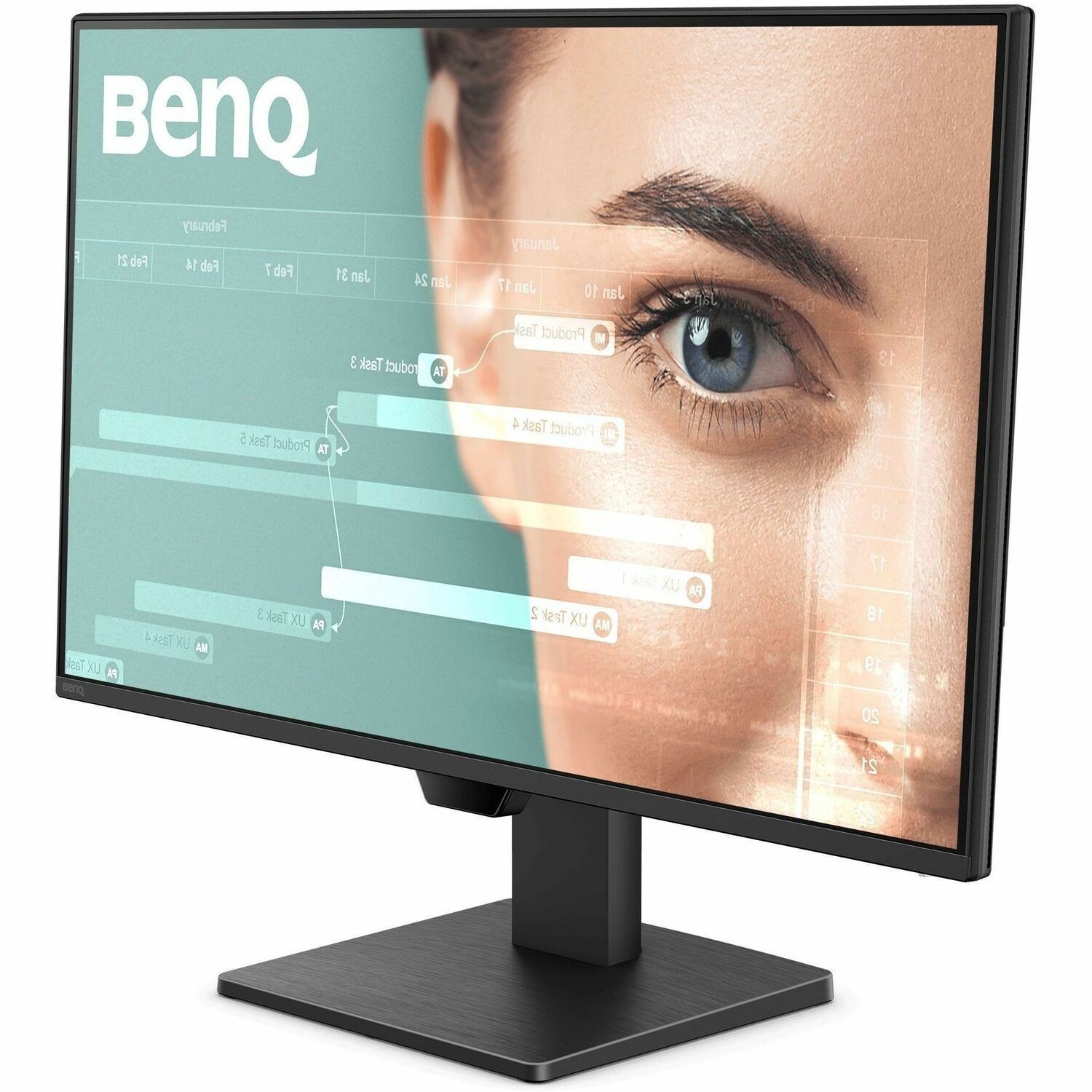 BenQ GW2490P 24" Class Full HD LED Monitor - 16:9