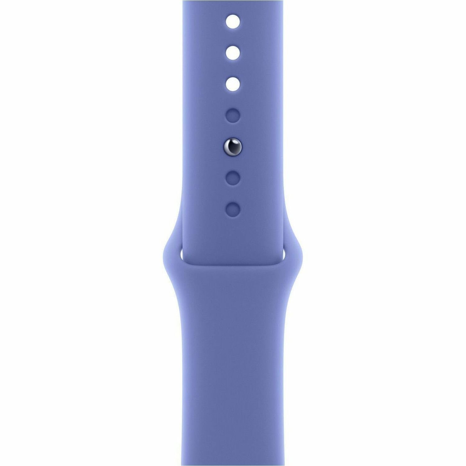 Apple Adjustable Smartwatch Band