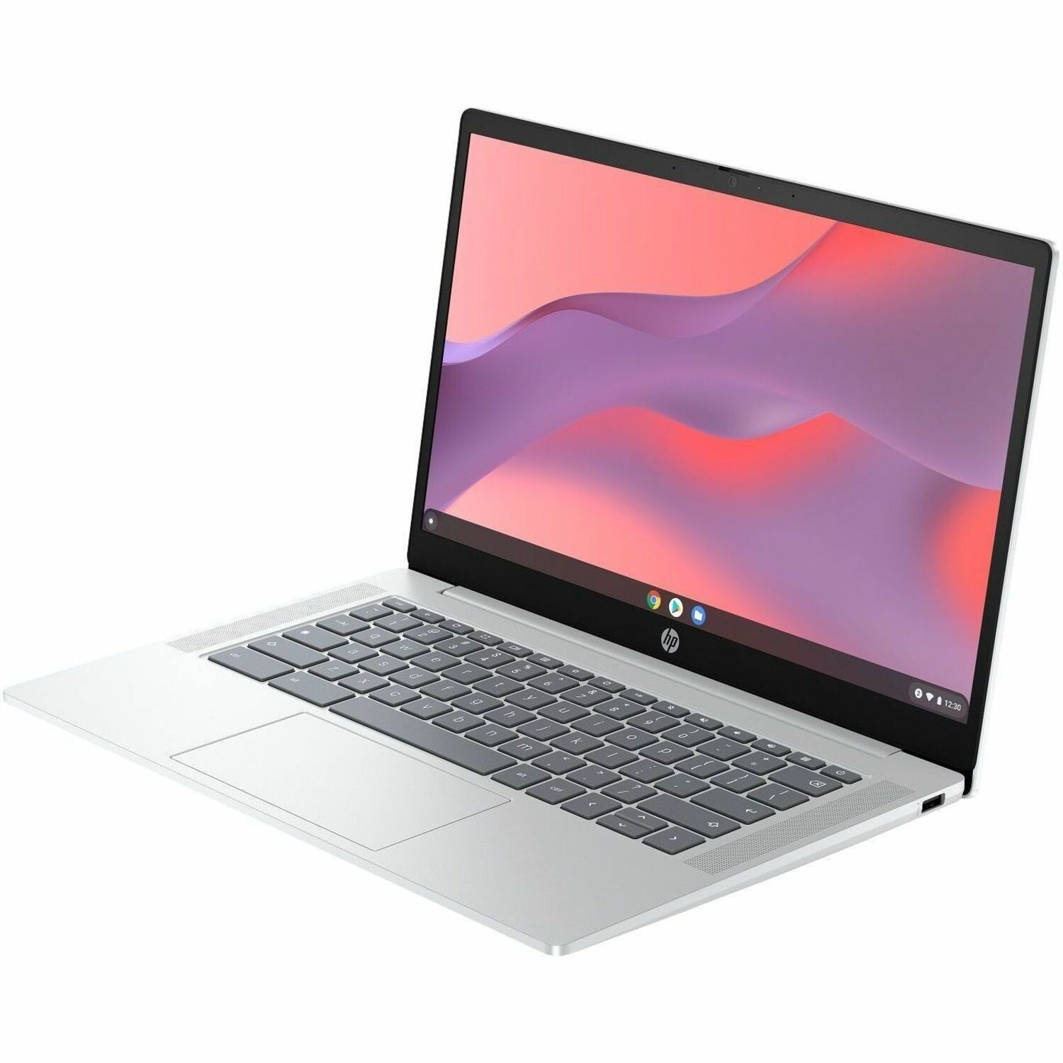 HP Chromebook 14a-nf0002na 35.6 cm (14") Chromebook - HD - Intel N100 - 4 GB - 128 GB Flash Memory - Glacier Silver