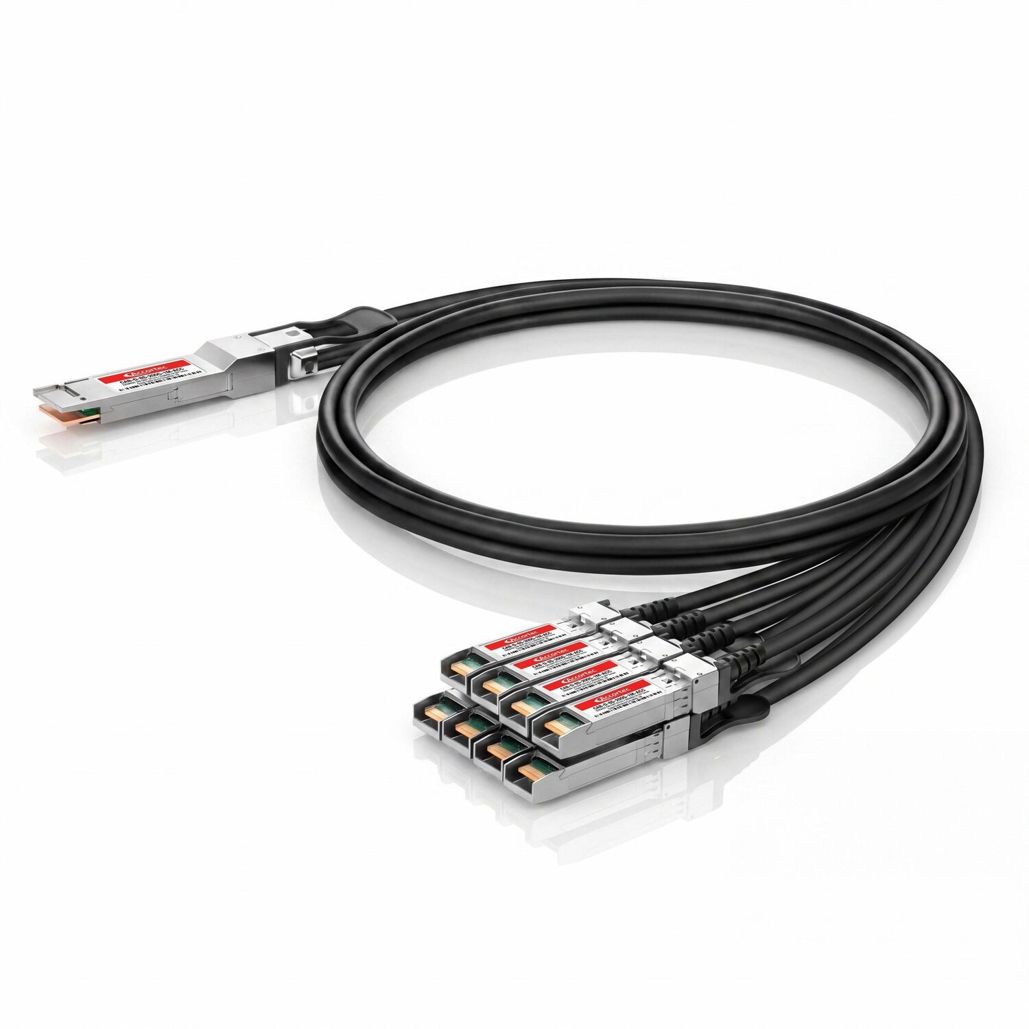 Accortec 200Gbase-Cr8 QSFP-DD To 8 X 25Gbase-Cr SFP Twinax Copper Cable Arista Compatible