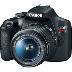Canon EOS Rebel T7 24.1 Megapixel Digital SLR Camera with Lens - 0.71" - 2.17" (Lens 1), 2.95" - 11.81" (Lens 2)