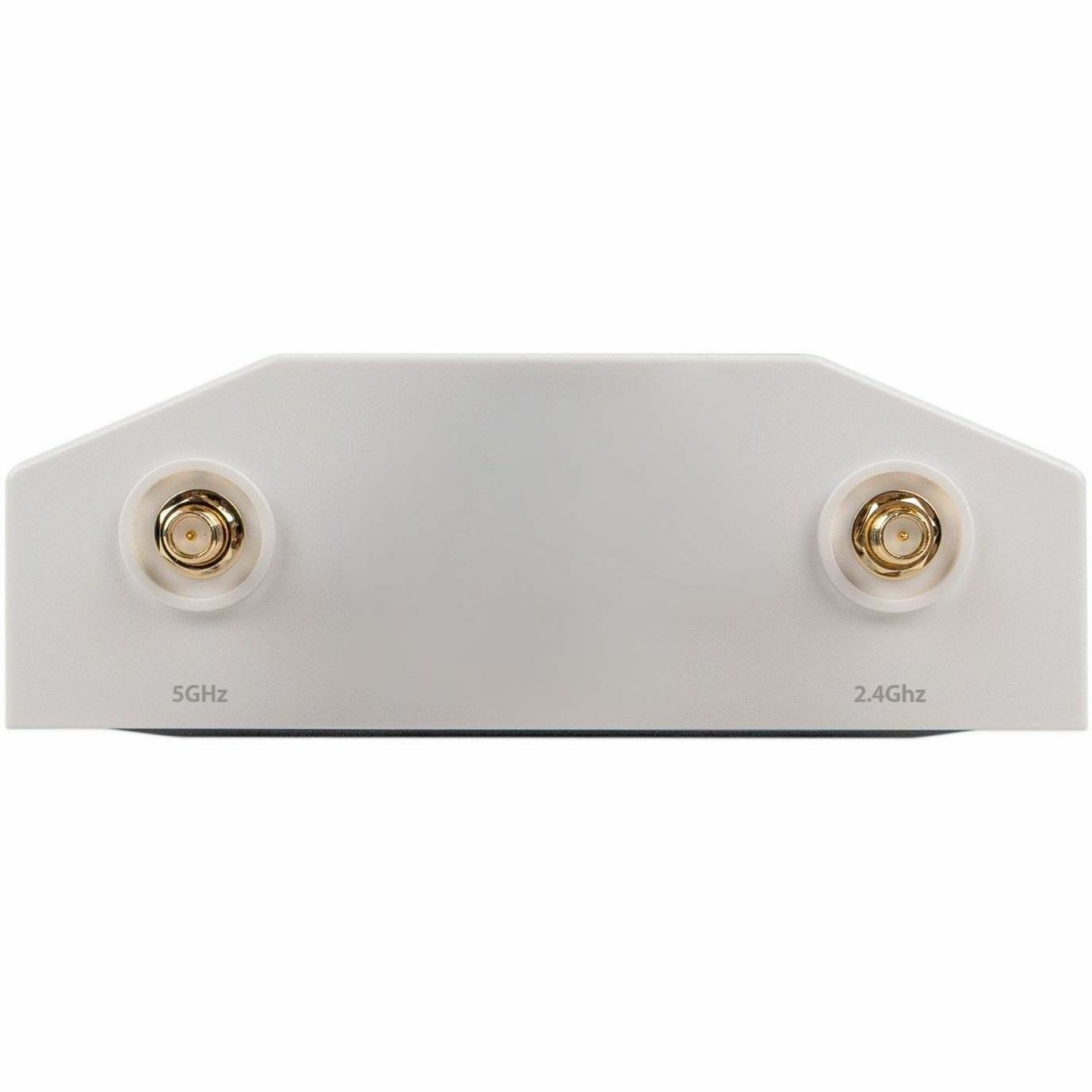 WatchGuard AP332CR Dual Band Wi-Fi 6 IEEE 802.11 a/b/g/n/ac/ax 1.20 Gbit/s Wireless Access Point - Outdoor