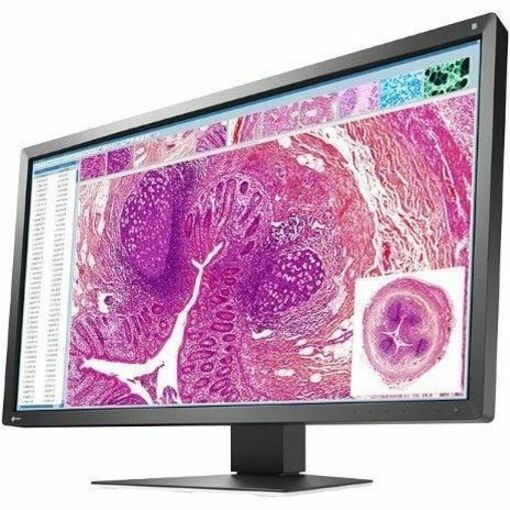 EIZO RadiForce MX317W-BK 31" Class 4K LED Monitor - 17:9 - Black