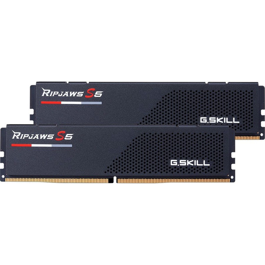 G.SKILL Ripjaws S5 32GB (2 x 16GB) DDR5 SDRAM Memory Kit