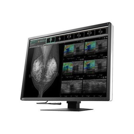 EIZO RadiForce RX1270 31" Class LCD Monitor - 3:2 - Black
