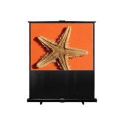 Optoma Panoview DE-9106EGA 269.2 cm (106") Electric Projection Screen