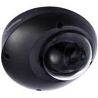 GeoVision GV-MFD2401-1F 2 Megapixel Network Camera - Color, Monochrome - Dome