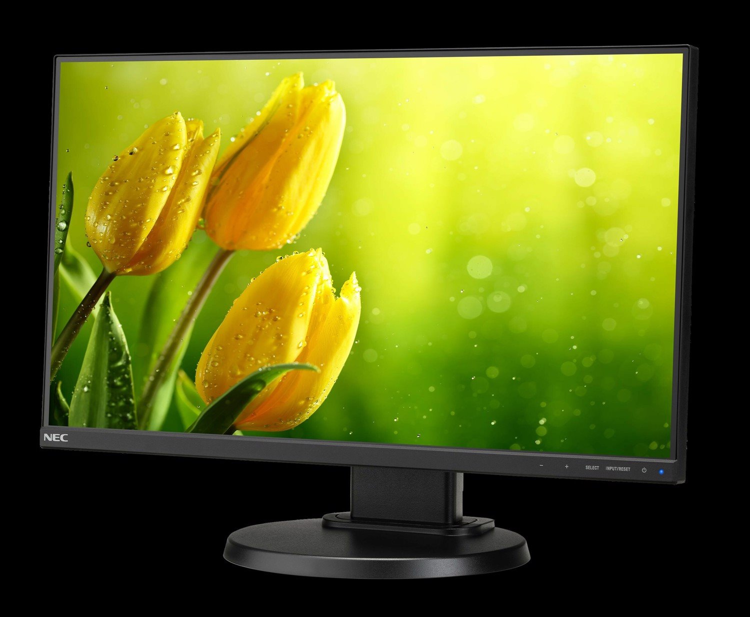 Nec 21.5In Led Backlit LCDMNTR