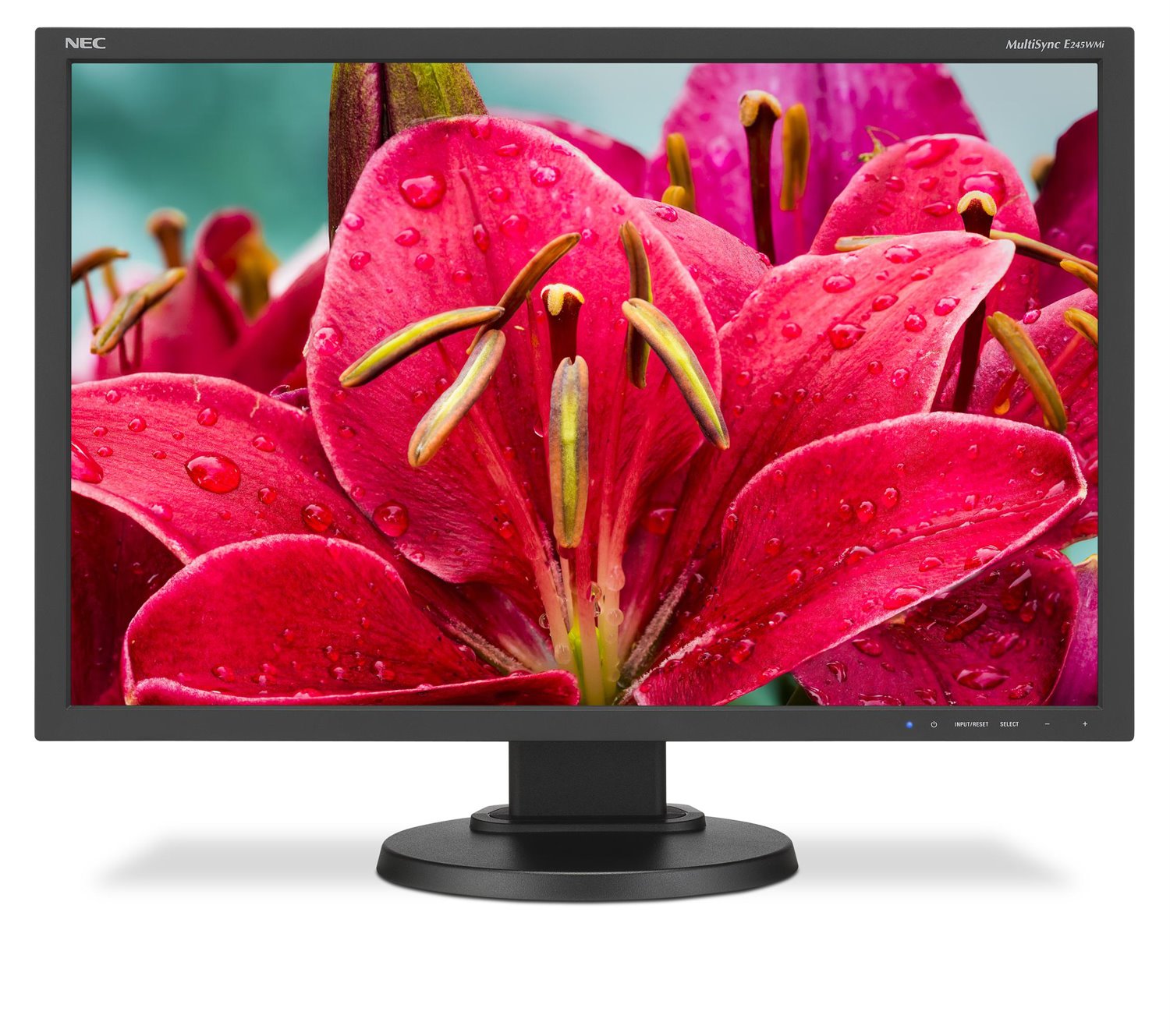 NEC Display MultiSync E245WMI-BK 24" WUXGA LED LCD Monitor - 16:10 - Black